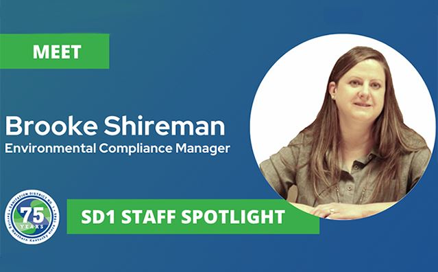 Shireman Homepage News Flash