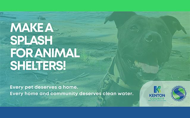 Splash for Animal Shelters Campaign Logo News Flash